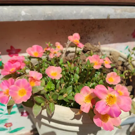 Terra E Mare Дом отдыха